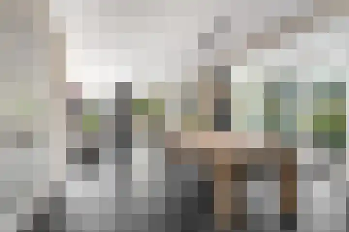 Neeltje Breedveldkade 10 Rotterdam thumbnail 11