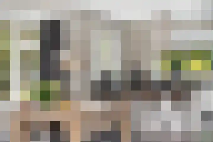 Neeltje Breedveldkade 10 Rotterdam thumbnail 16
