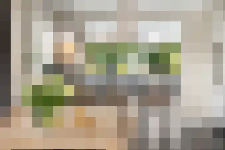 Neeltje Breedveldkade 10 Rotterdam thumbnail 17