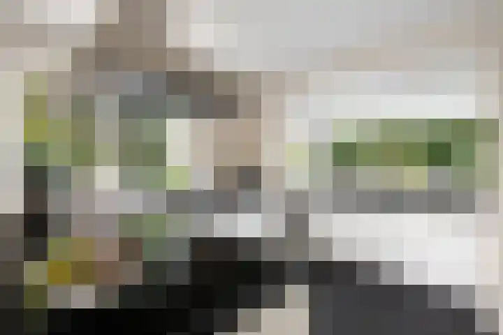 Neeltje Breedveldkade 10 Rotterdam thumbnail 21