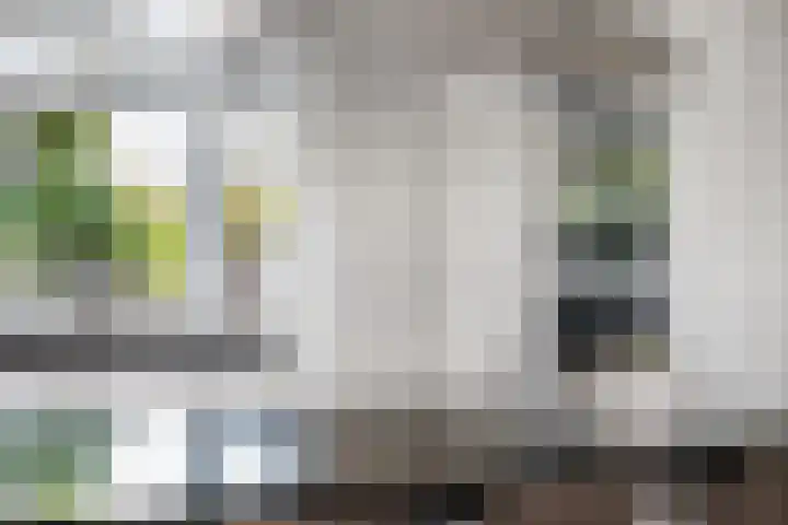 Neeltje Breedveldkade 10 Rotterdam thumbnail 23