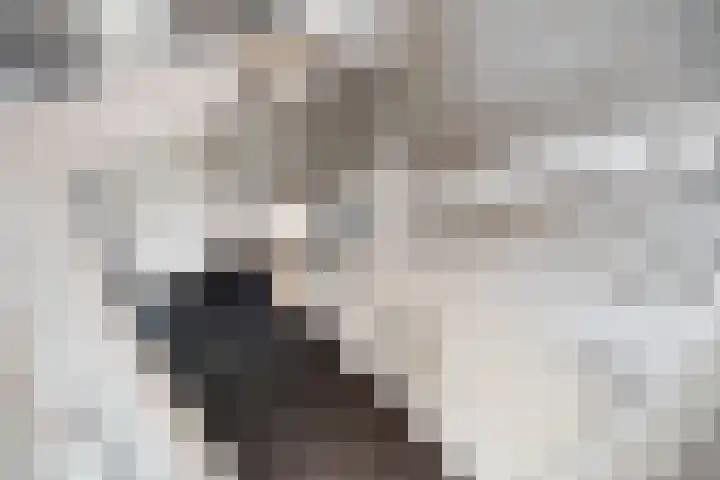 Neeltje Breedveldkade 10 Rotterdam thumbnail 24