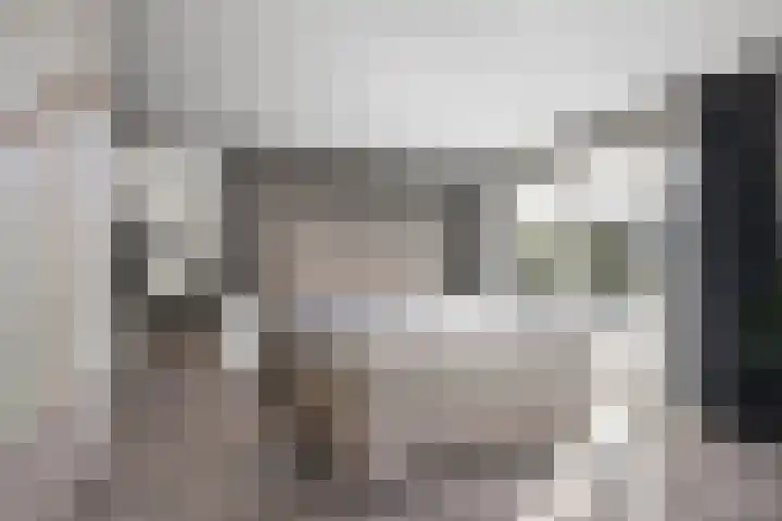 Neeltje Breedveldkade 10 Rotterdam thumbnail 30