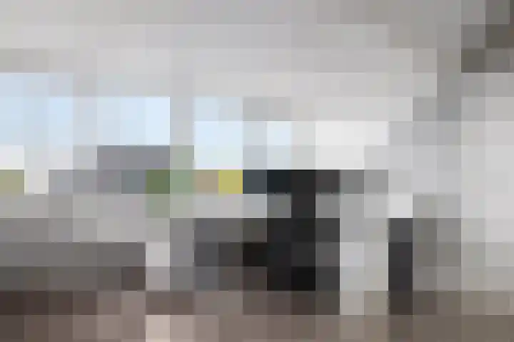 Neeltje Breedveldkade 10 Rotterdam thumbnail 39