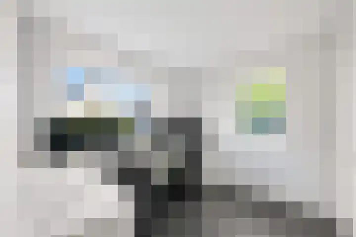 Neeltje Breedveldkade 10 Rotterdam thumbnail 40