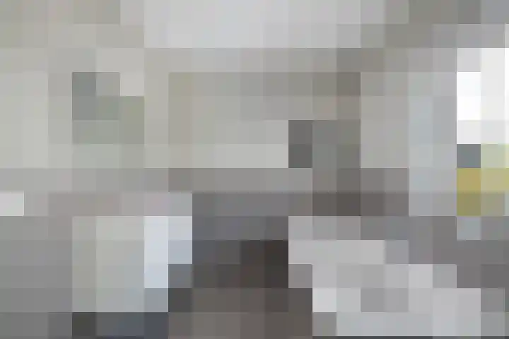 Neeltje Breedveldkade 10 Rotterdam thumbnail 46