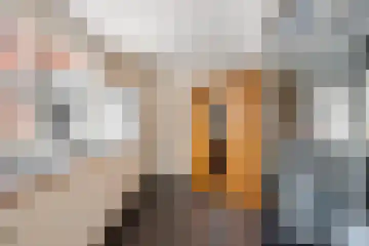 Neeltje Breedveldkade 10 Rotterdam thumbnail 50