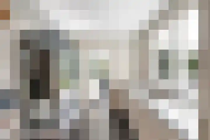 Neeltje Breedveldkade 10 Rotterdam thumbnail 51