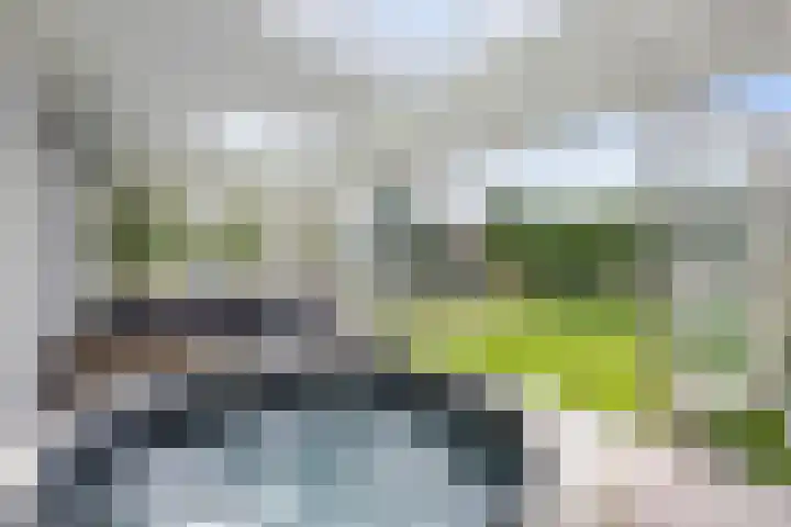 Neeltje Breedveldkade 10 Rotterdam thumbnail 52