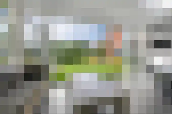 Neeltje Breedveldkade 10 Rotterdam thumbnail 53