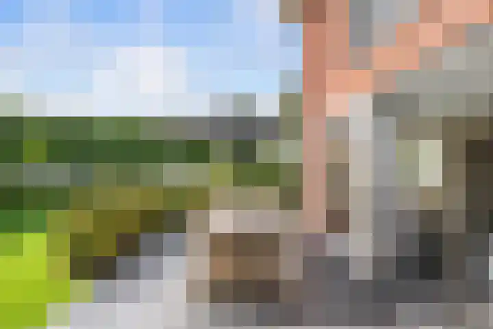 Neeltje Breedveldkade 10 Rotterdam thumbnail 56
