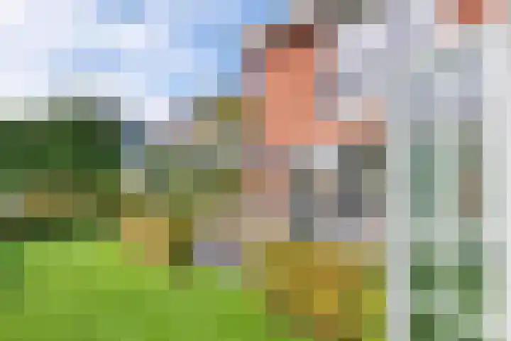 Neeltje Breedveldkade 10 Rotterdam thumbnail 57