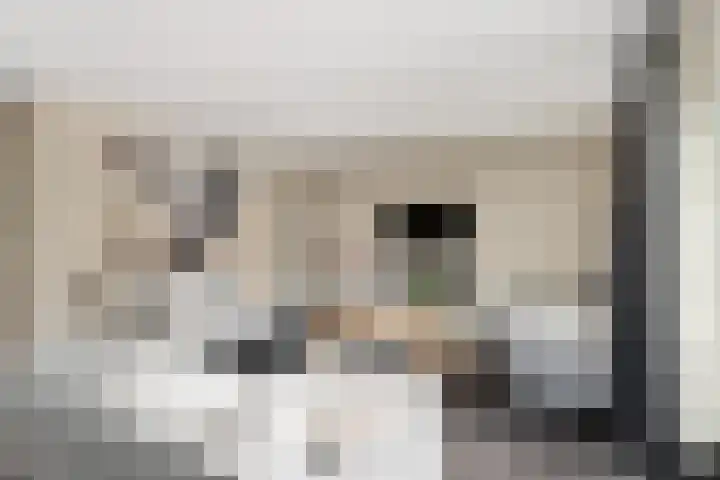 Neeltje Breedveldkade 10 Rotterdam thumbnail 6