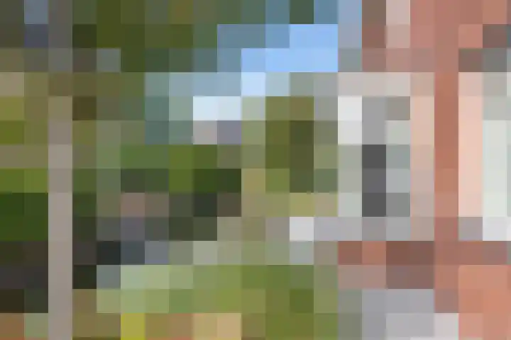Neeltje Breedveldkade 10 Rotterdam thumbnail 63