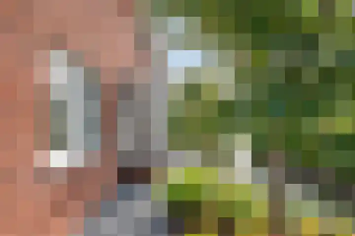 Neeltje Breedveldkade 10 Rotterdam thumbnail 64