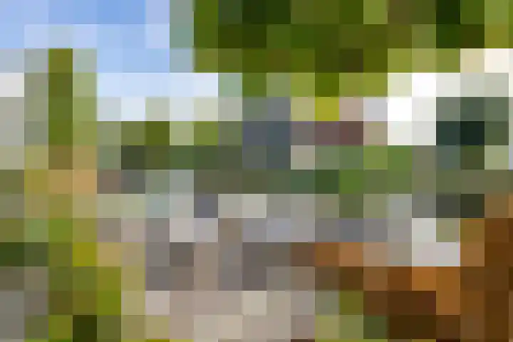 Neeltje Breedveldkade 10 Rotterdam thumbnail 65