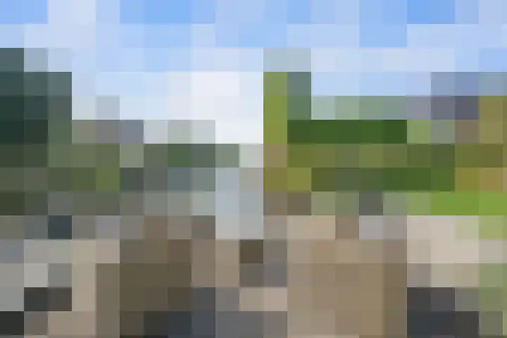 Neeltje Breedveldkade 10 Rotterdam thumbnail 66