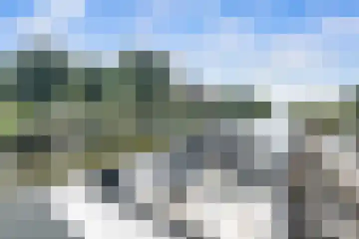 Neeltje Breedveldkade 10 Rotterdam thumbnail 67