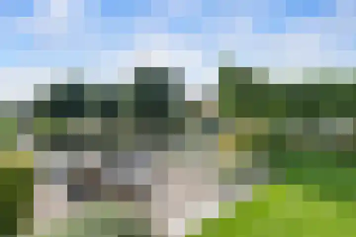 Neeltje Breedveldkade 10 Rotterdam thumbnail 70