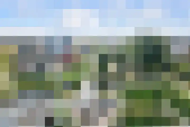 Neeltje Breedveldkade 10 Rotterdam thumbnail 71