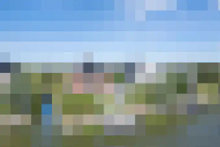 Neeltje Breedveldkade 10 Rotterdam thumbnail 72