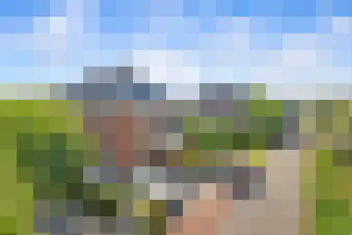 Neeltje Breedveldkade 10 Rotterdam thumbnail 74