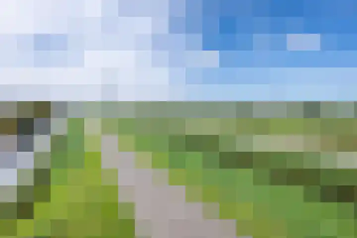Neeltje Breedveldkade 10 Rotterdam thumbnail 76