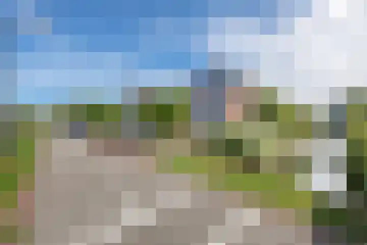 Neeltje Breedveldkade 10 Rotterdam thumbnail 79