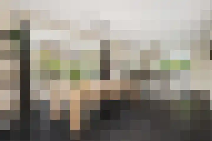 Neeltje Breedveldkade 10 Rotterdam thumbnail 9