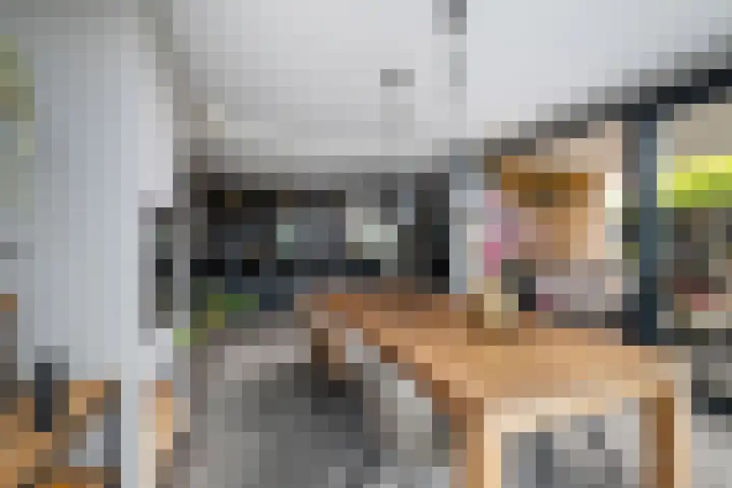 Neeltje Breedveldkade 25 Rotterdam thumbnail 17