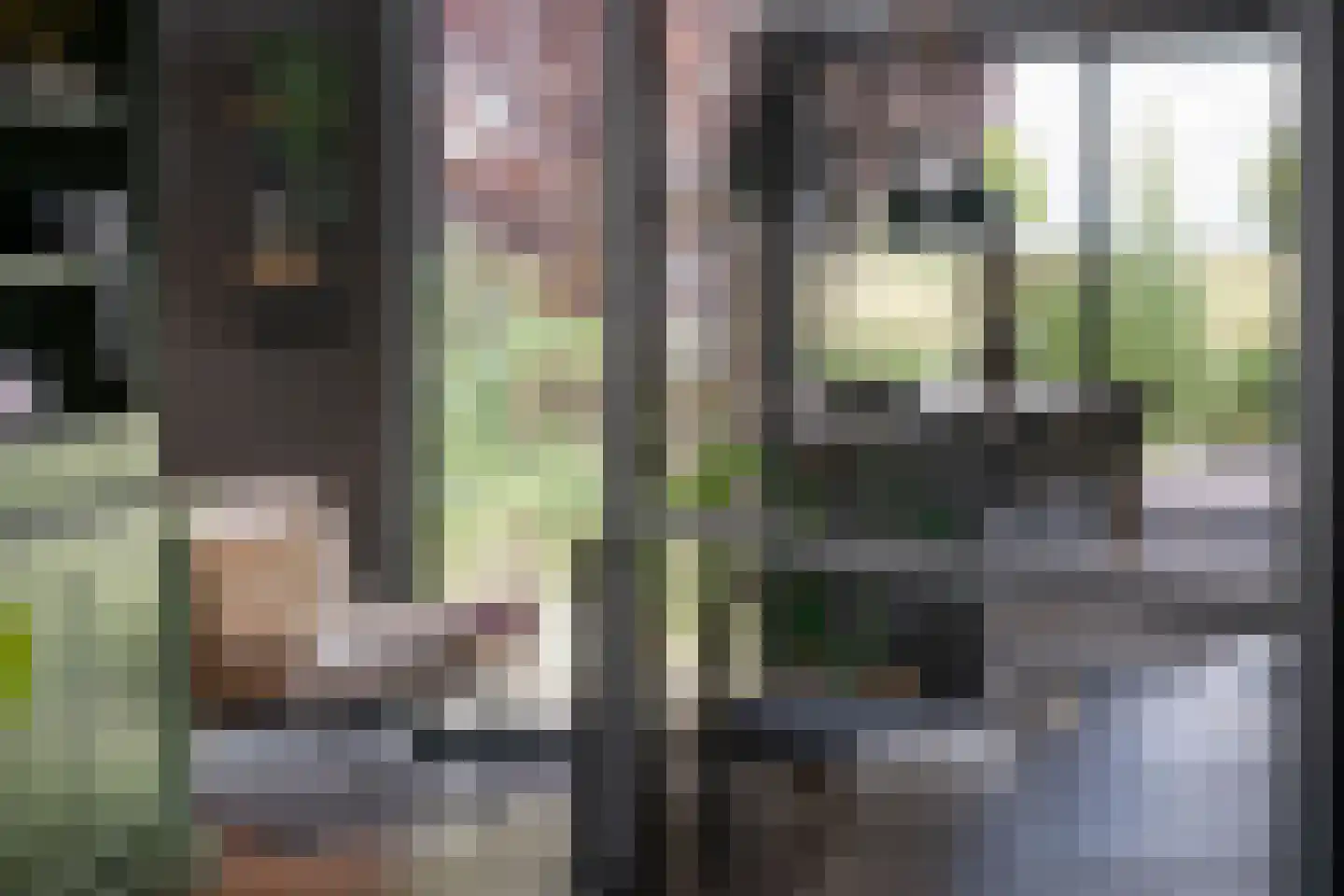 Neeltje Breedveldkade 25 Rotterdam thumbnail 21