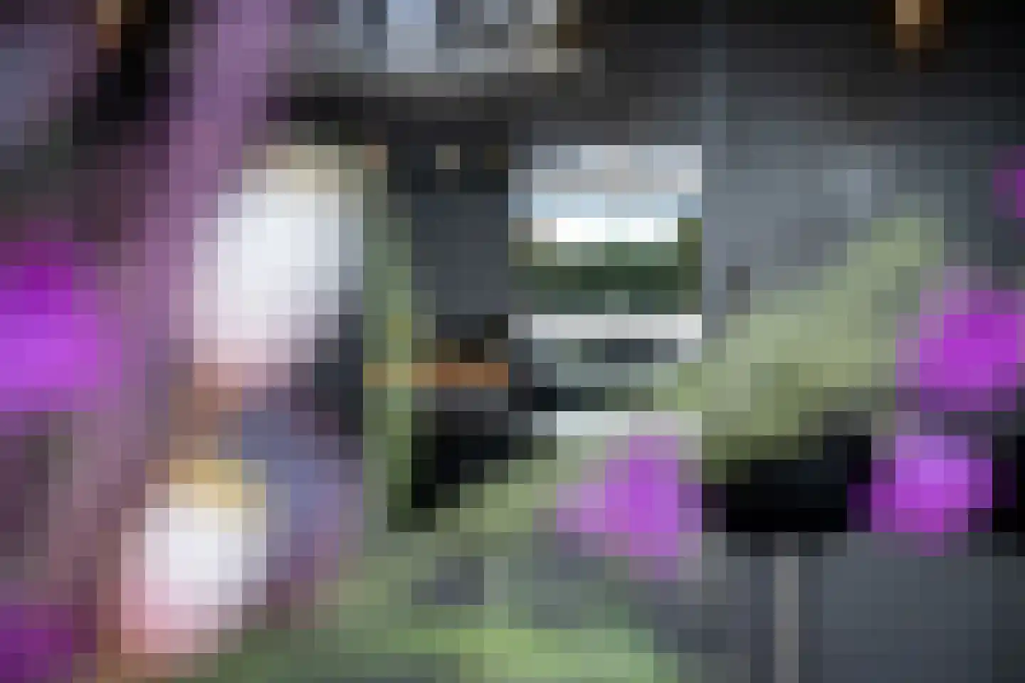 Neeltje Breedveldkade 25 Rotterdam thumbnail 24