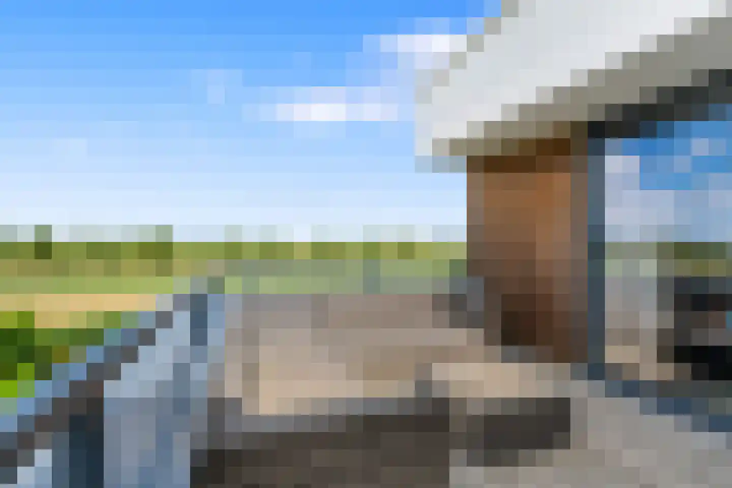 Neeltje Breedveldkade 25 Rotterdam thumbnail 34