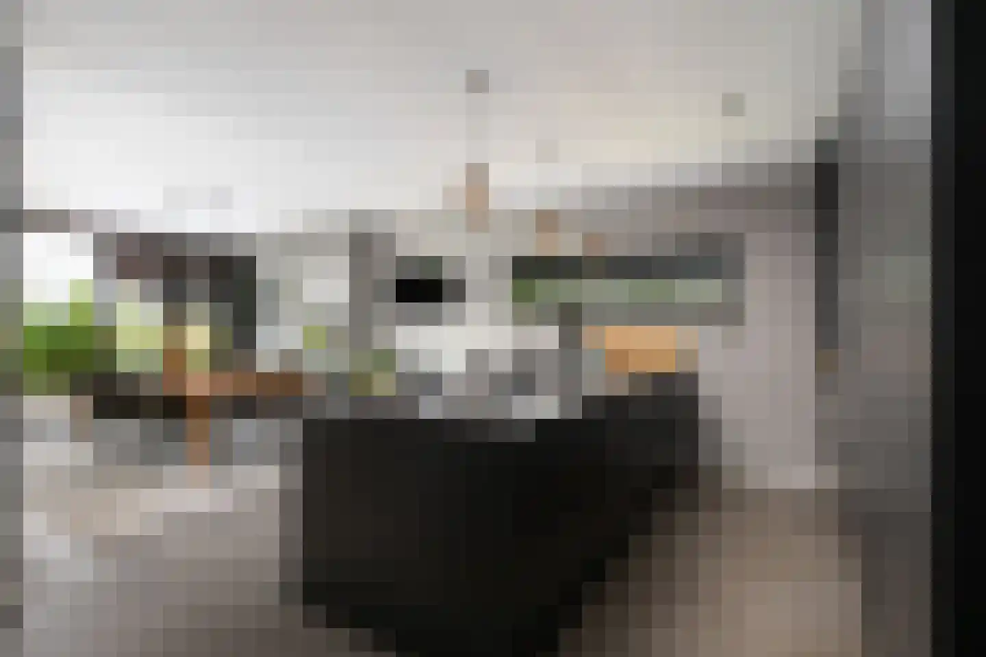 Neeltje Breedveldkade 25 Rotterdam thumbnail 4
