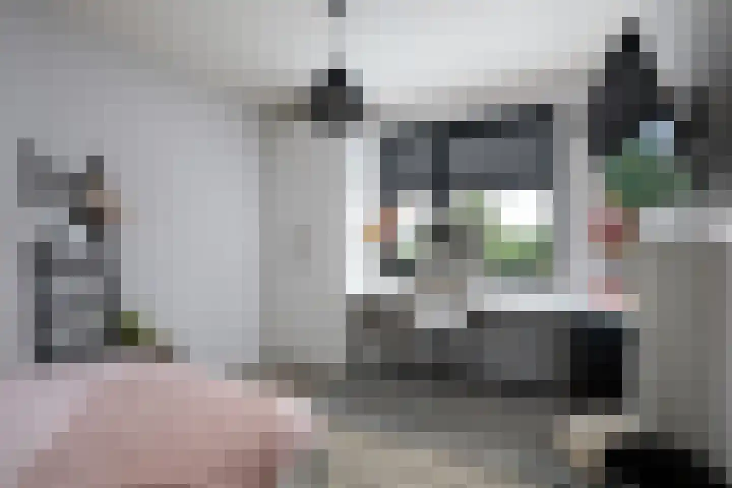 Neeltje Breedveldkade 25 Rotterdam thumbnail 40