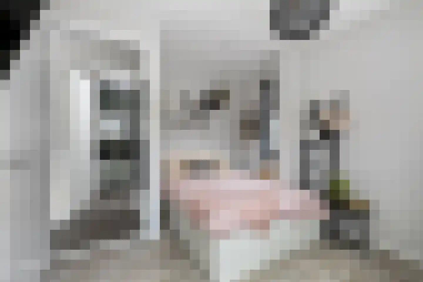 Neeltje Breedveldkade 25 Rotterdam thumbnail 41