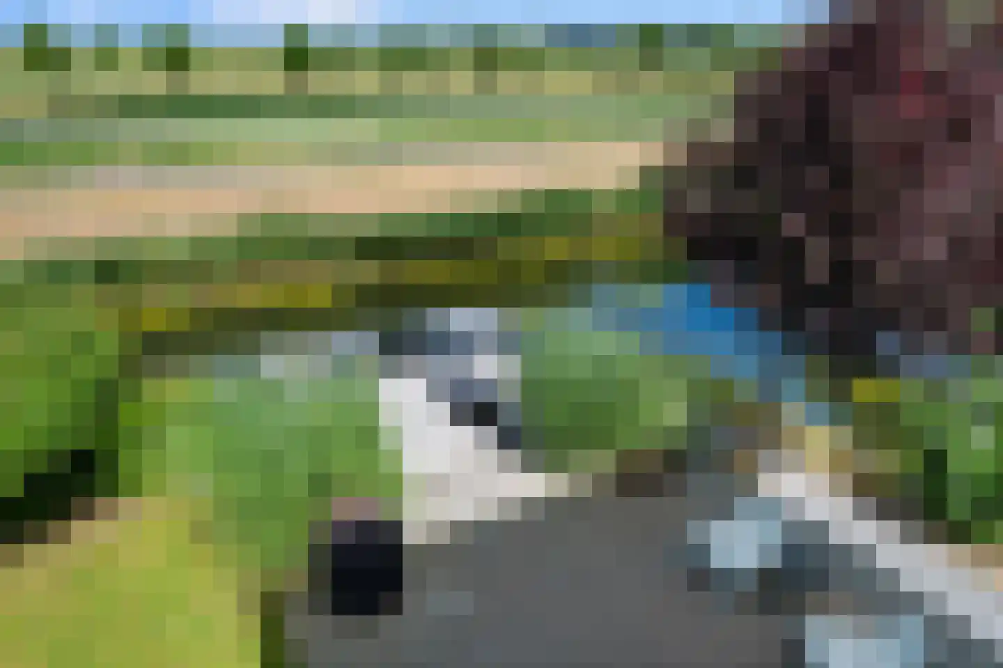 Neeltje Breedveldkade 25 Rotterdam thumbnail 48