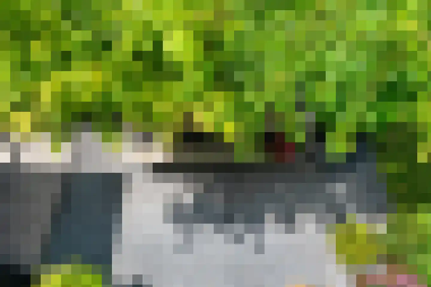 Neeltje Breedveldkade 25 Rotterdam thumbnail 49