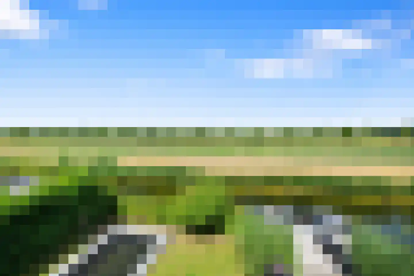 Neeltje Breedveldkade 25 Rotterdam thumbnail 50