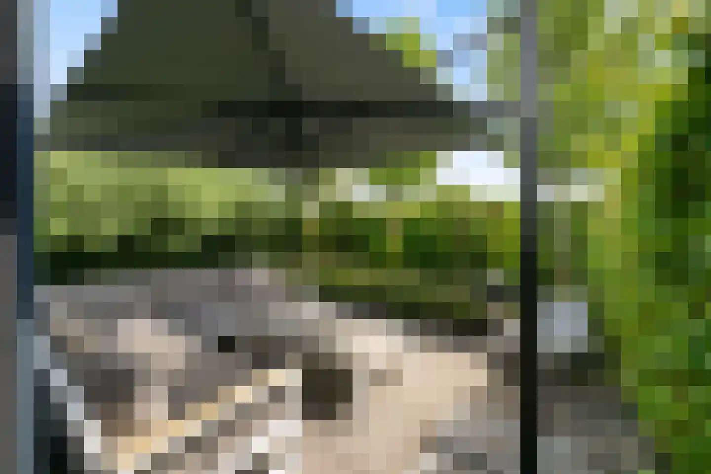 Neeltje Breedveldkade 25 Rotterdam thumbnail 51