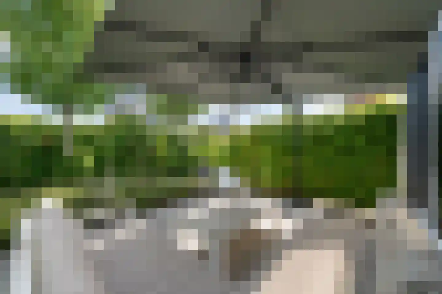 Neeltje Breedveldkade 25 Rotterdam thumbnail 53