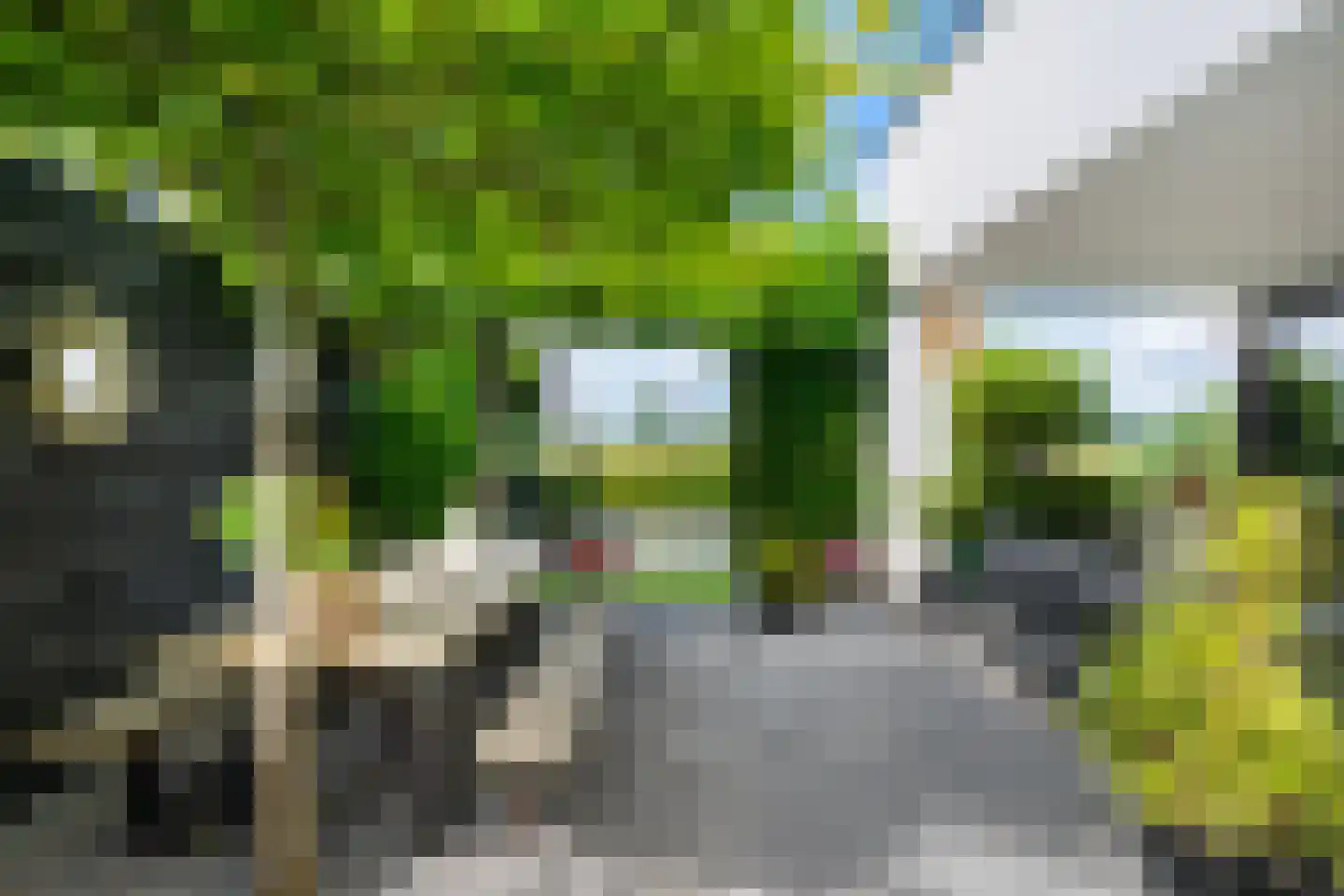 Neeltje Breedveldkade 25 Rotterdam thumbnail 58
