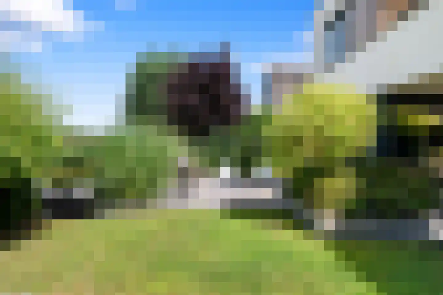 Neeltje Breedveldkade 25 Rotterdam thumbnail 61