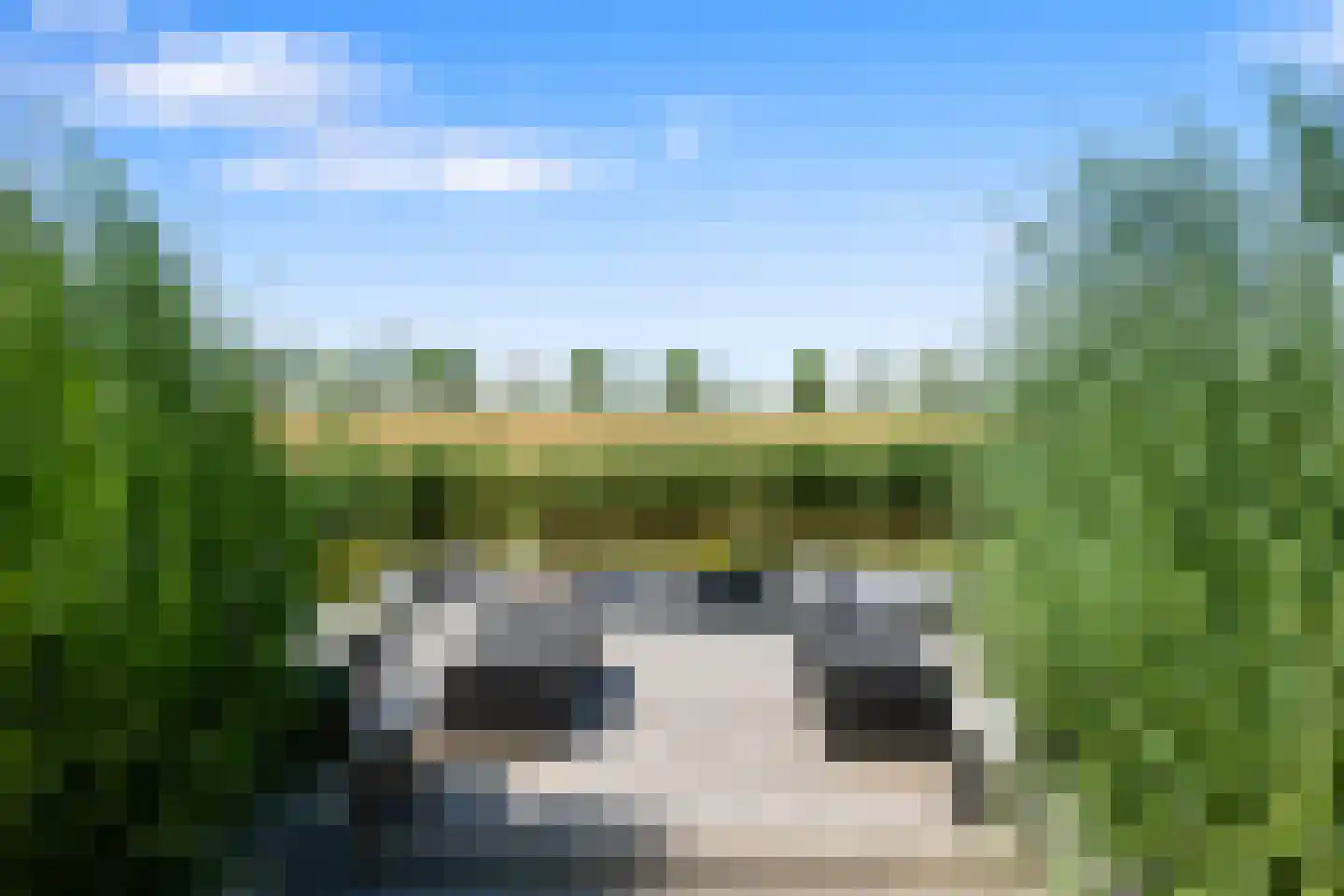Neeltje Breedveldkade 25 Rotterdam thumbnail 64