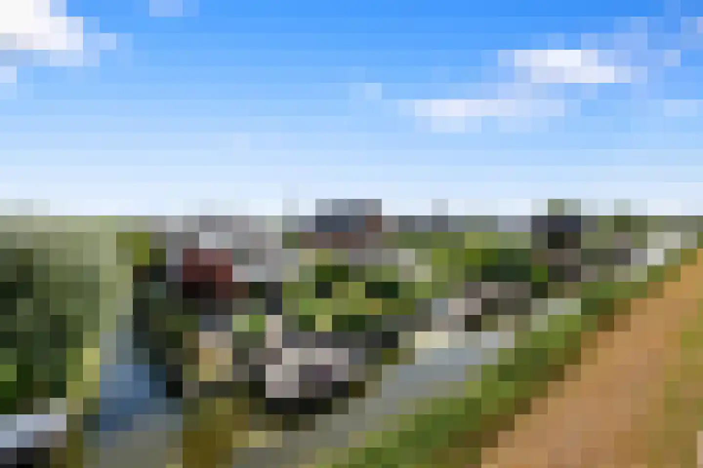 Neeltje Breedveldkade 25 Rotterdam thumbnail 72