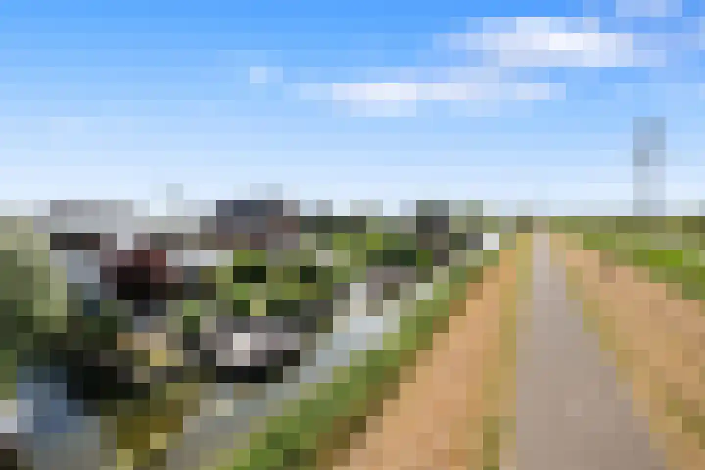 Neeltje Breedveldkade 25 Rotterdam thumbnail 73