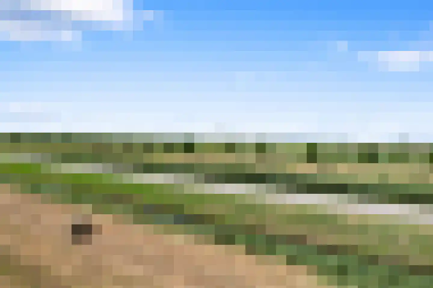 Neeltje Breedveldkade 25 Rotterdam thumbnail 74