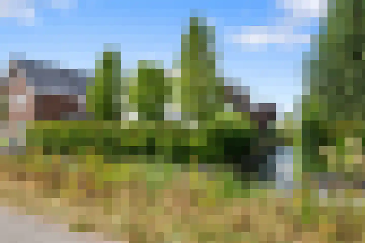 Neeltje Breedveldkade 25 Rotterdam thumbnail 79