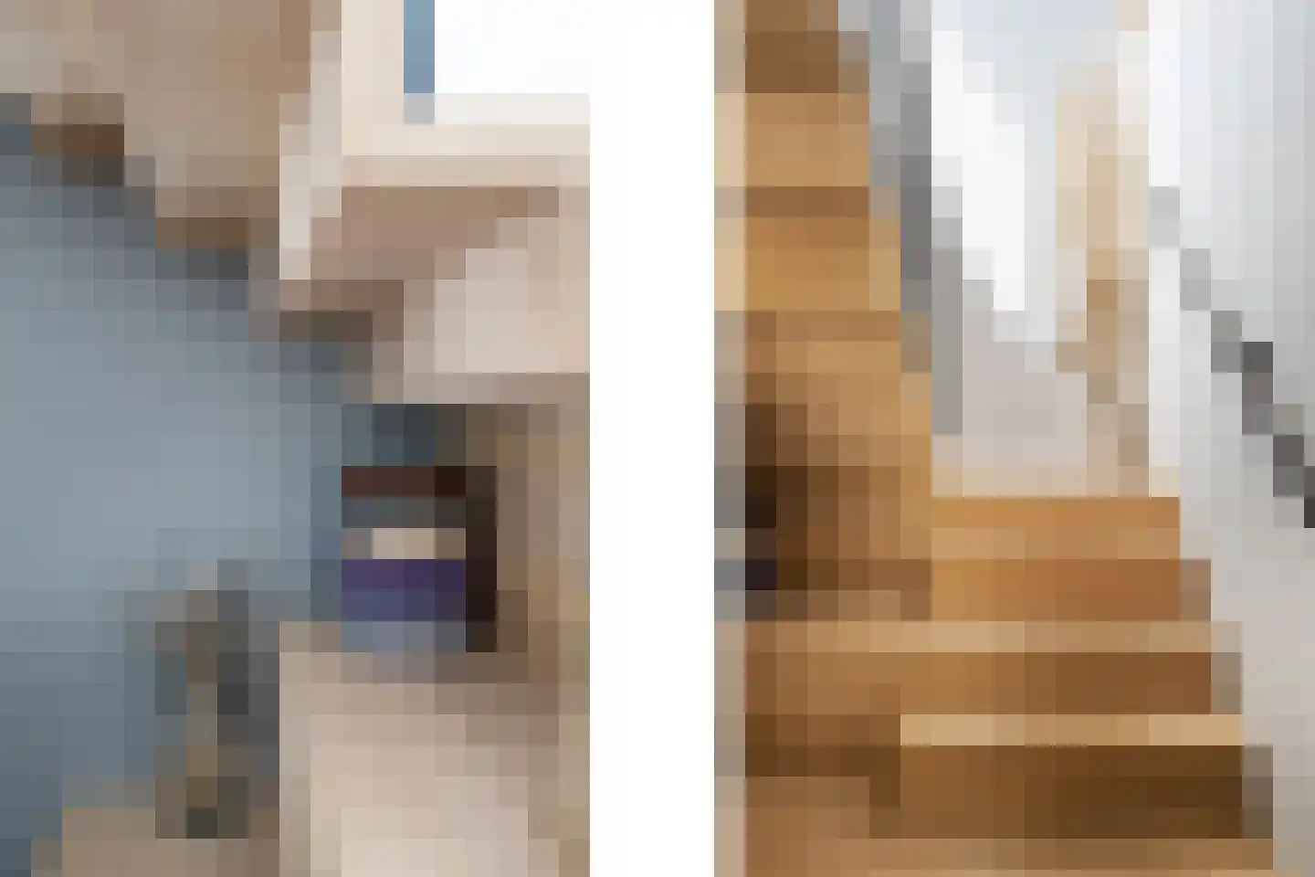 Neeltje Breedveldkade 25 Rotterdam thumbnail 8