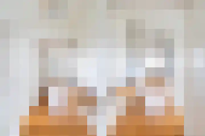 Neeltje Griffijnstraat 22 Rotterdam thumbnail 18